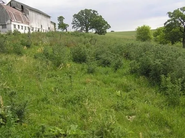 N7395 Jeremiason Ln, Blanchardville, WI 53516