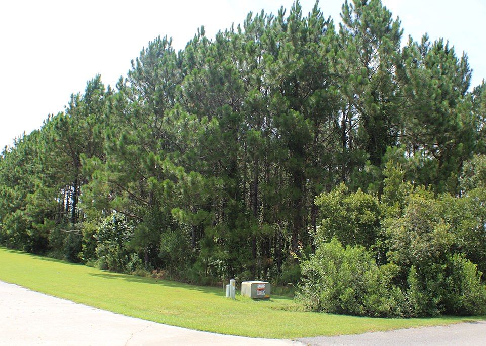 2nd image of 3123 Rhett Cir
