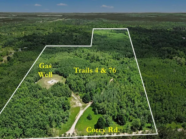 Vl Corey Rd, Mancelona, MI 49659