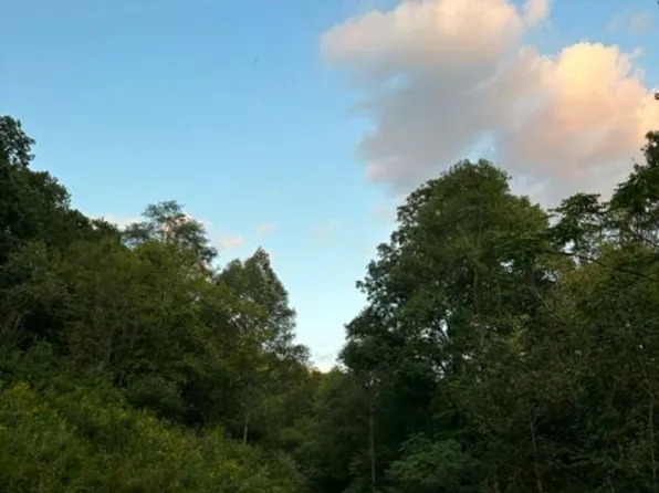 0 Contrary Crk, Louisa, KY 41230