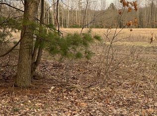 V/l E Baseline Rd, Hesperia, MI 49421