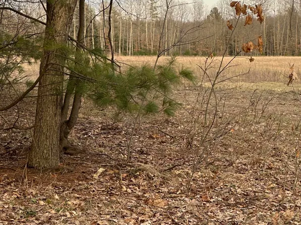 V/l E Baseline Rd, Hesperia, MI 49421