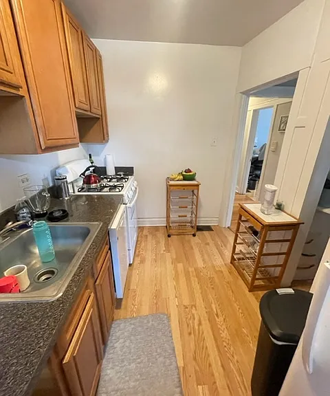 1514 W Rosemont Ave #3 — Photo 4
