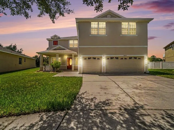 20009 OAKFLOWER AVENUE, TAMPA, FL 33647