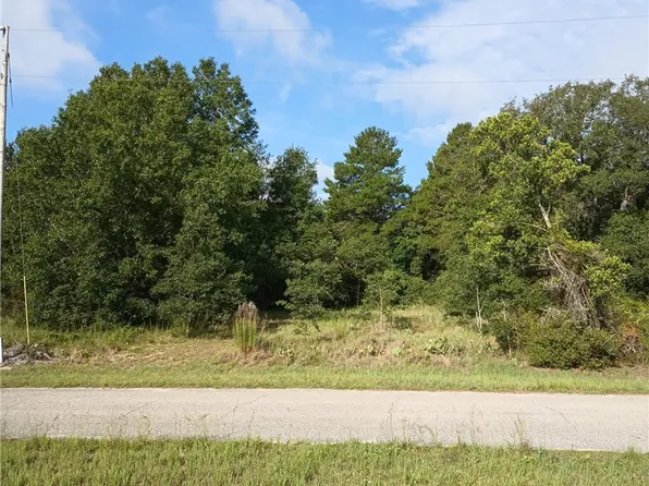 2867 N Nepera Rd, Avon Park, FL 33825