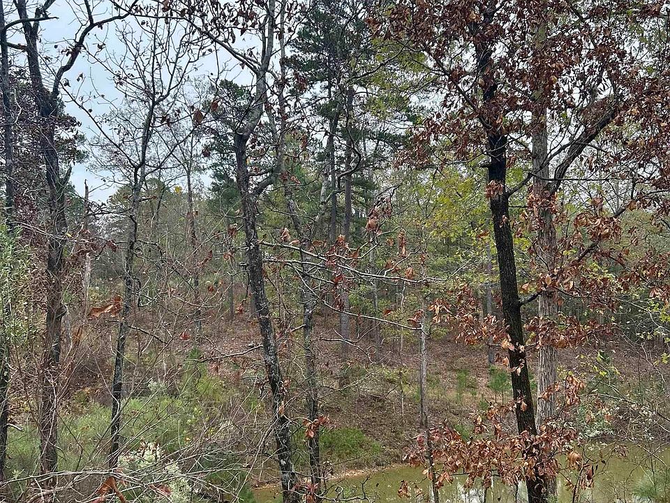 2nd image of 0 Red Hawk Cir