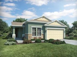 10671 Cardera Dr, Riverview, FL 33578