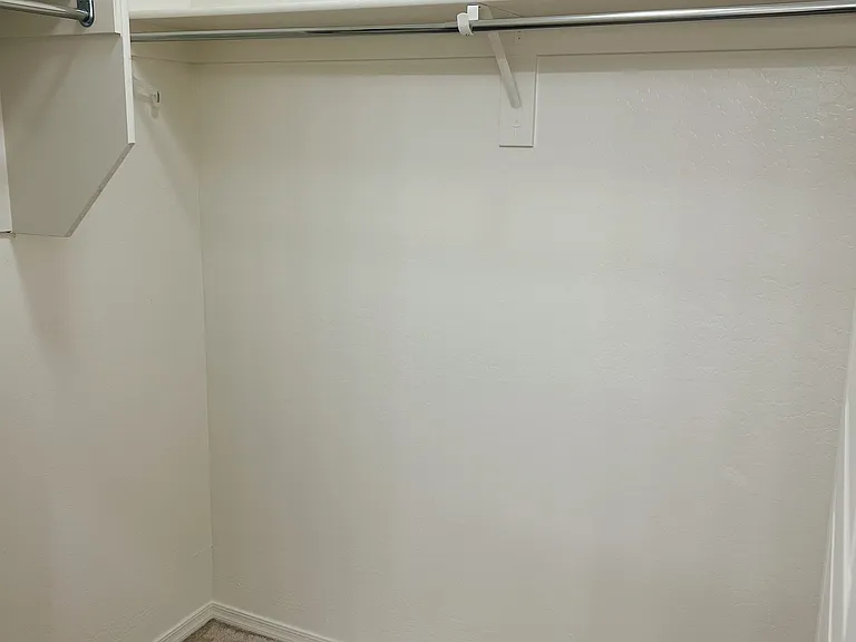 Primary bedroom closet