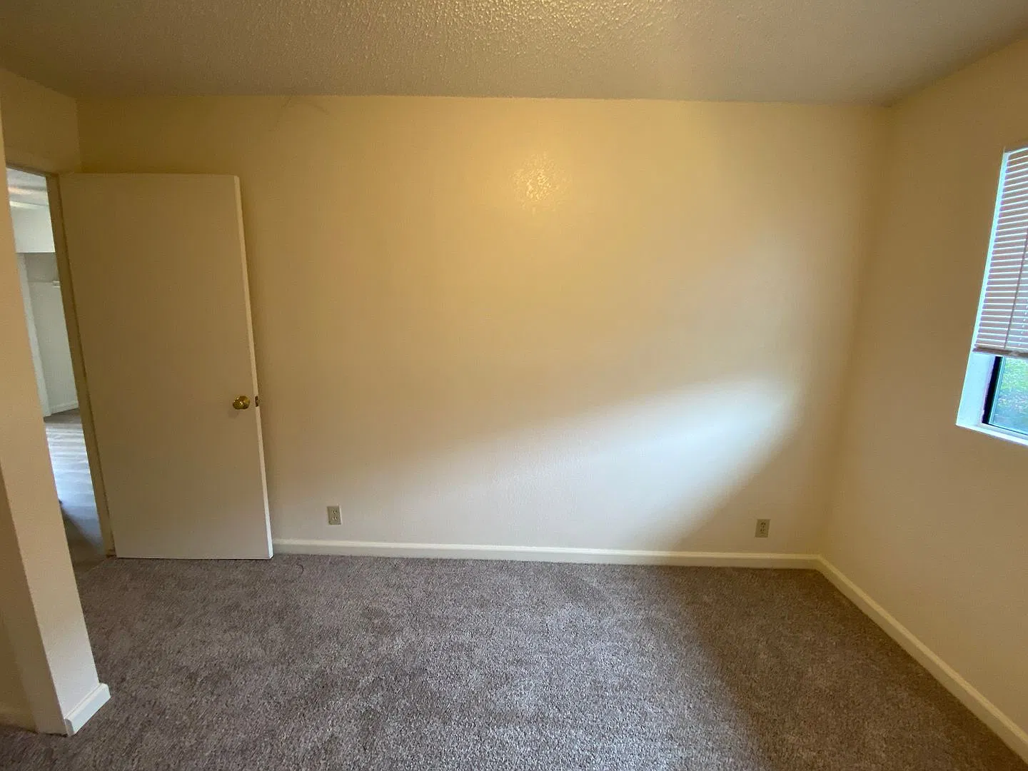 9339 Musselman Dr. Apt #31 — Photo 4
