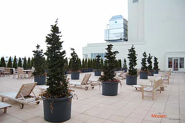 Rented by Modern Spaces