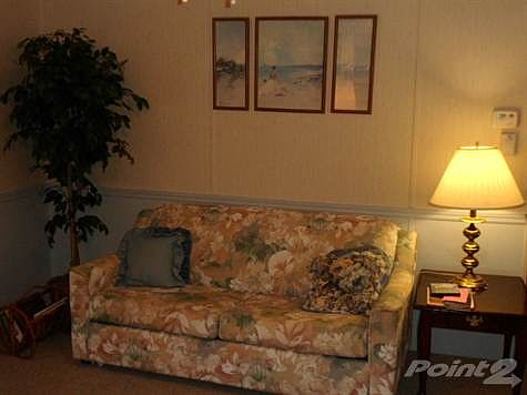 Beautifully Furnished
