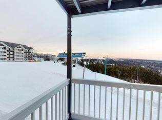 240 Mountain Lodge Ln, Snowshoe, WV 26209