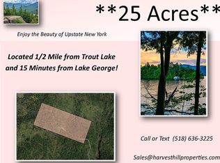 Lamb Hill Rd, Diamond pt, NY 12824