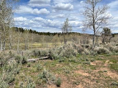 Tbd Ts Rd, Whitewater, CO, 81527
