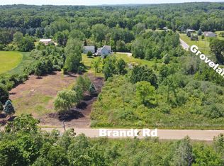Vacant Land Brandt Rd, Ortonville, MI 48462