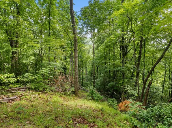 0 Brandy Ln, Franklin, NC 28734