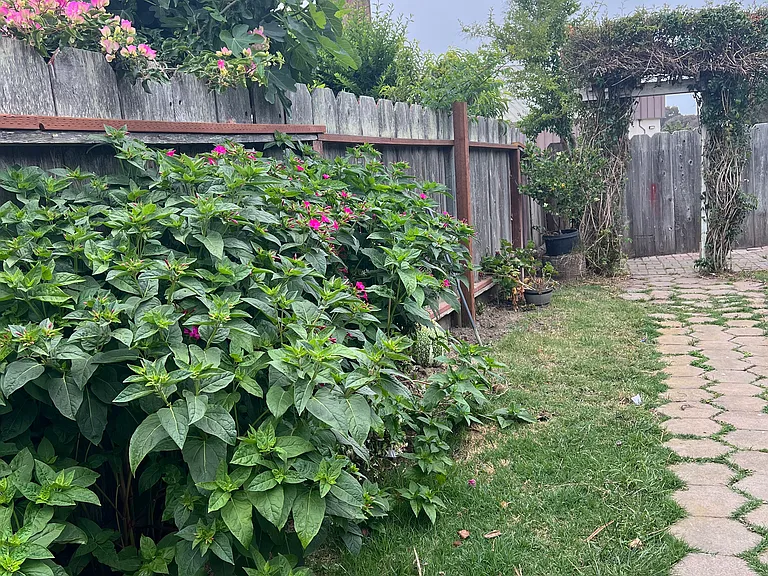 16 Rico Cir — Photo 9