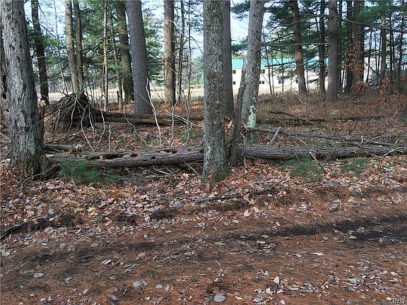 3rd image of 6972 White Tail Dr