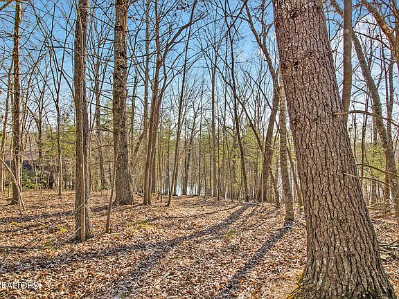 5th image of 30 Hunterwood Ct Lot 369