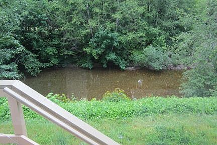 View from sunroom