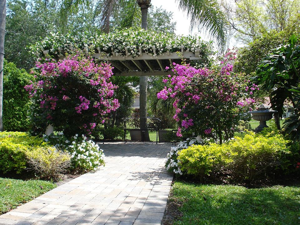 Pergola