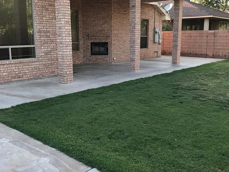 Backyard with Covered Patio, Grass, Concrete Slab and Outdoo