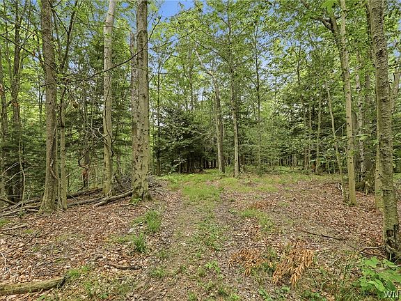 4th image of 10788 Partridge Rd Lot 17