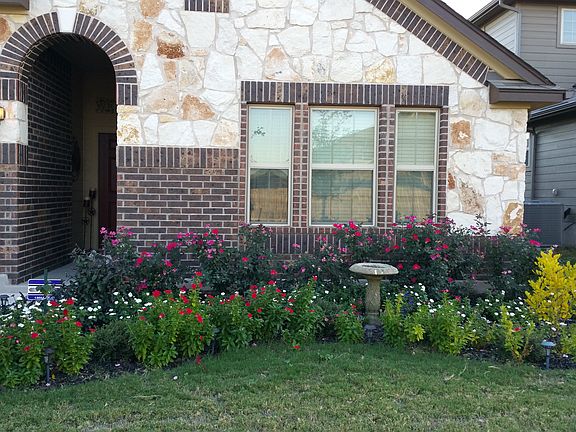 Front flower bed