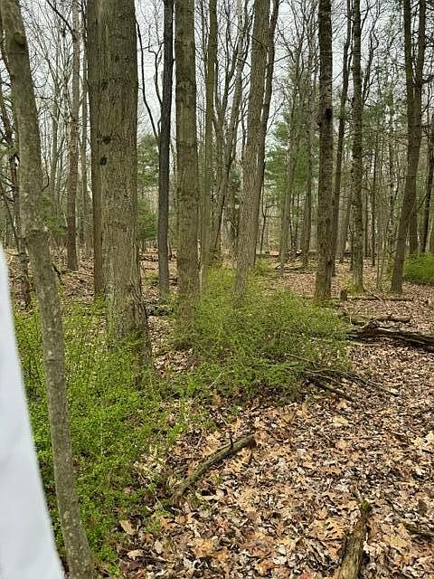 1st image of LOT 8 W Toliver St