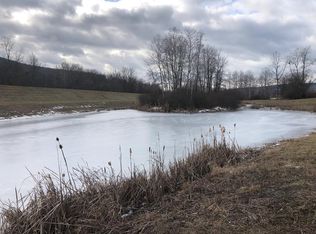 0 S Hamilton St, Painted Post, NY 14870