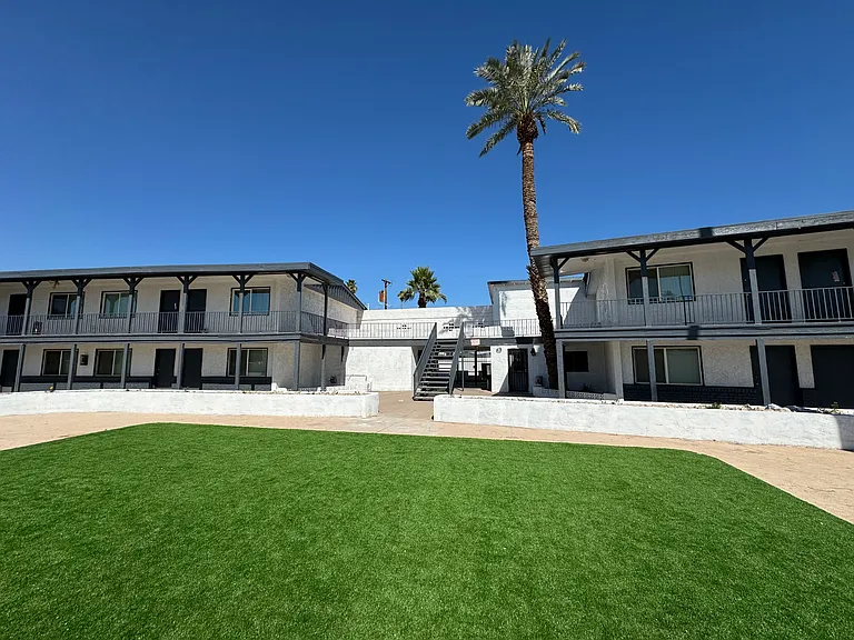 12 Palms — Photo 1