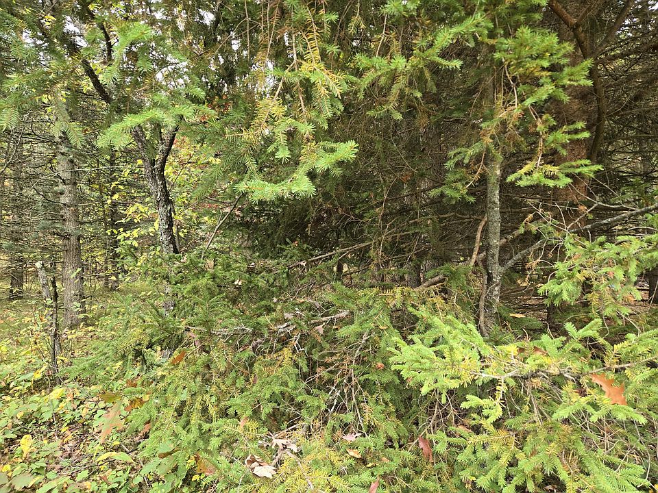 1st image of Maresch Maresch Rd