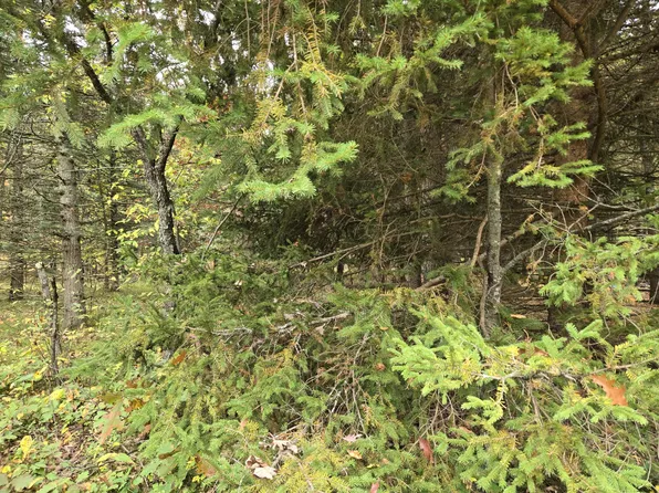 N Maresch Rd, Irons, MI 49644