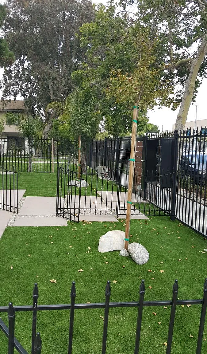 3 bed, 2.5 bath, 1100 sqft, $3,190 — Photo 2