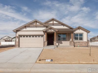 5990 Clarence Dr, Windsor, CO, 80550