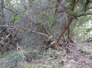 LOT 19 Lot 19, Naalehu, HI 96772