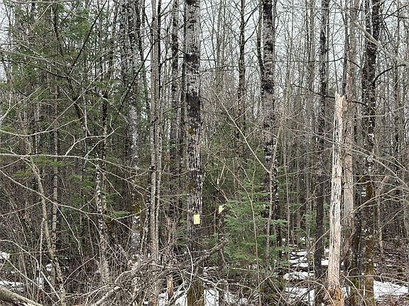 2nd image of ON N Hofer Road