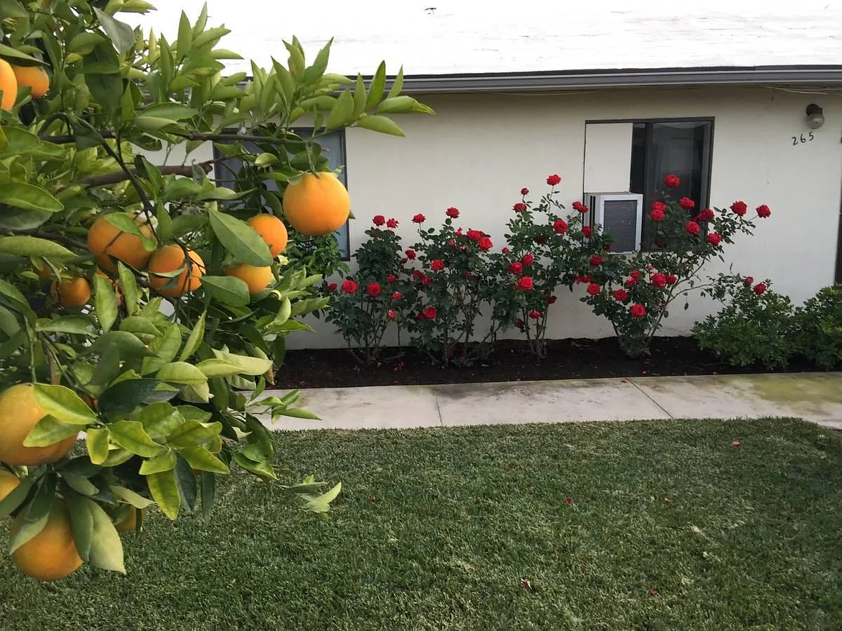 1 bed, 550 sqft, $2,050 — Photo 3