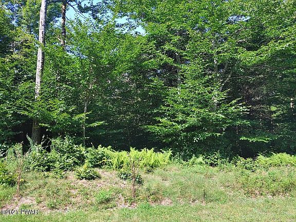 3rd image of 115 Hemlock Ln