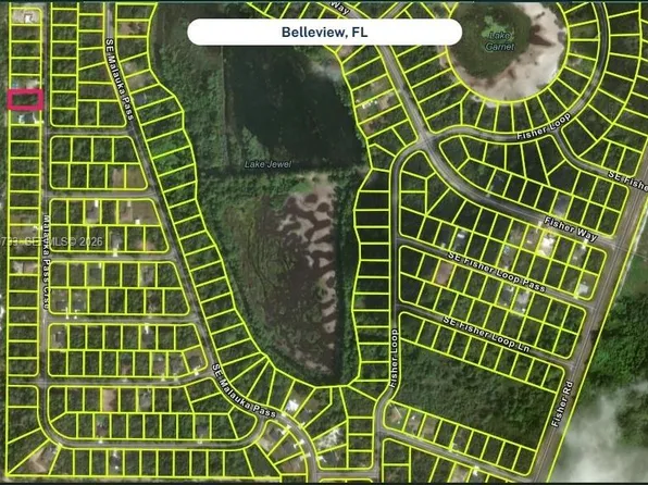 70 Malauka Pass, Ocklawaha, FL 32179