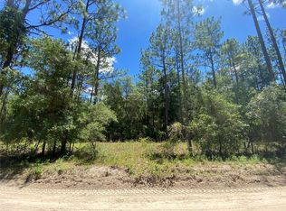 4331 NE 127th Ct, Williston, FL 32696