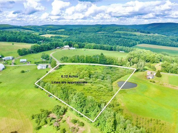 0 Peeters Rd, Schenevus, NY 12155