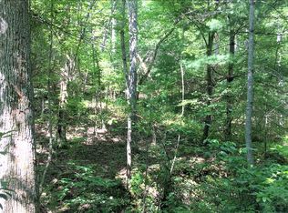 Bruce Mountain Rd, Blairsville, GA 30512