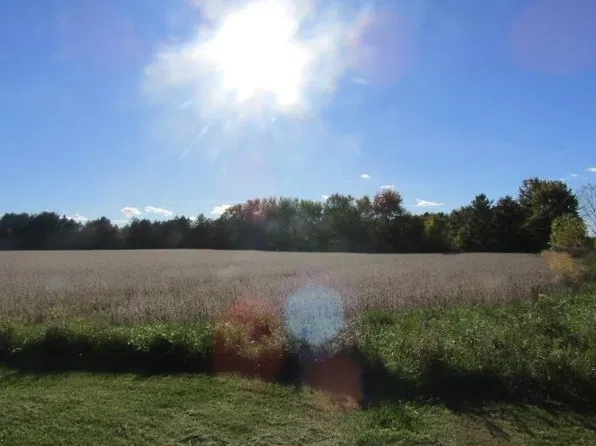 Garrison Rd, Laingsburg, MI 48848