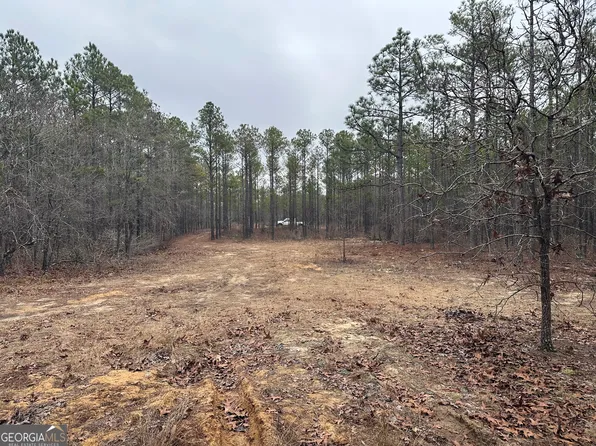 0 Hunter Dr, Mauk, GA 31058