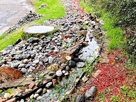 Front yard with stream water feature