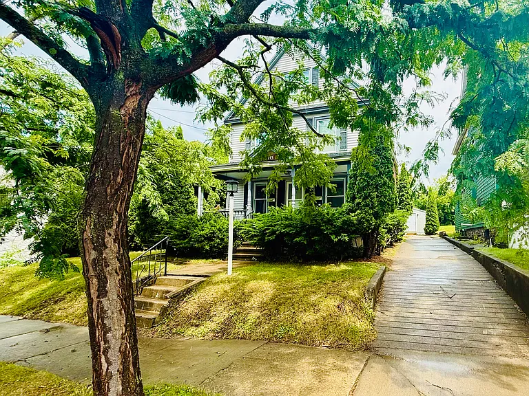 Driveway and front yard