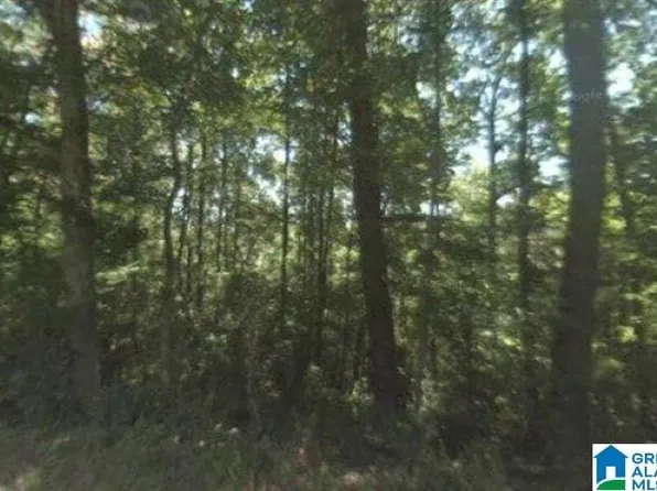 0 Dorning Rd, Trafford, AL 35172