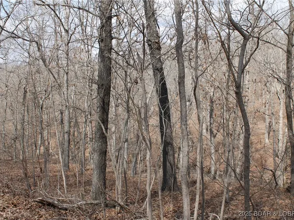 Tim Rd #1903, Edwards, MO 65326