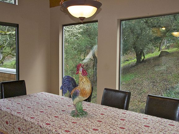 Large windows to watch deer
